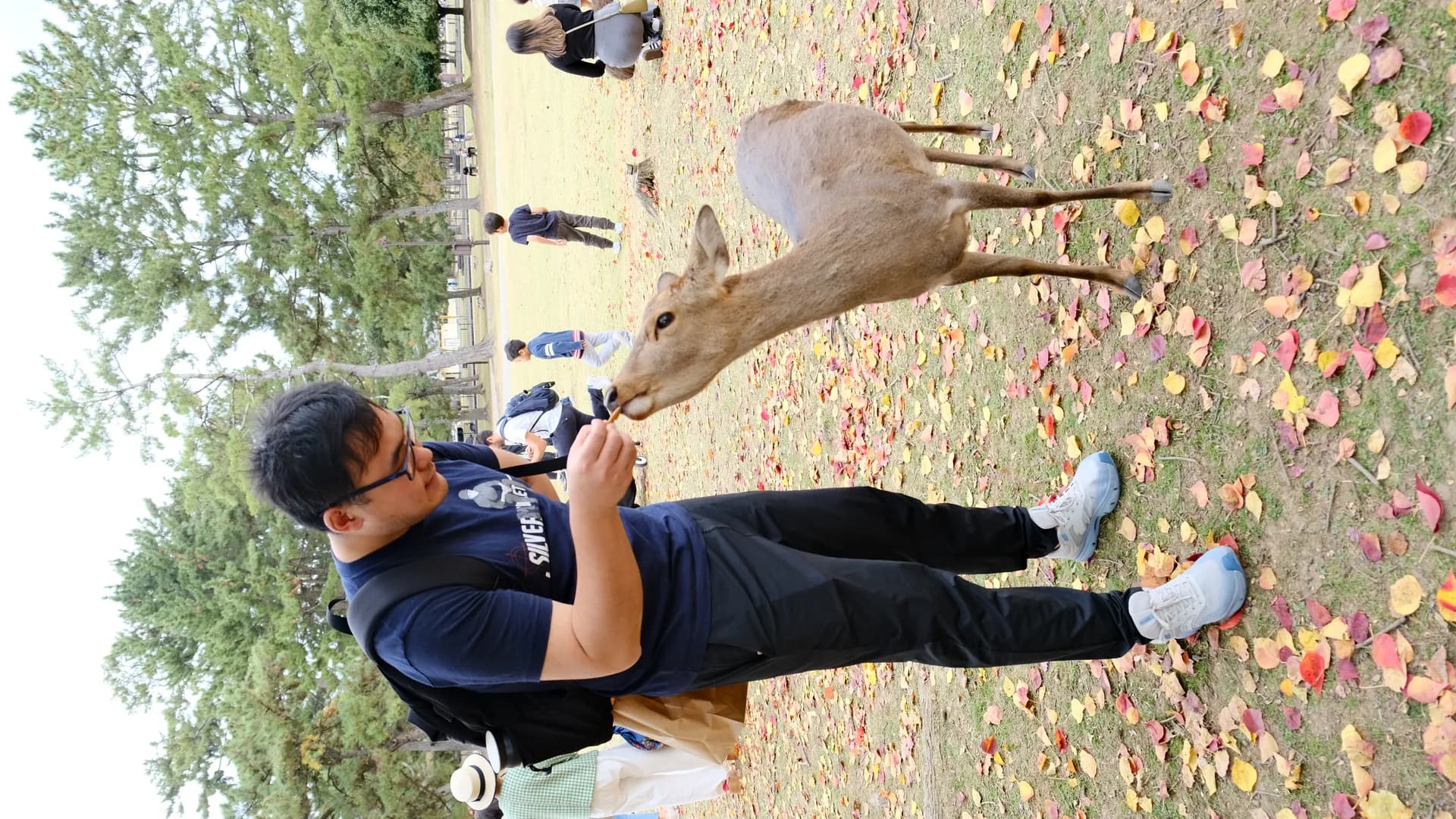 Dennis feeding a deer